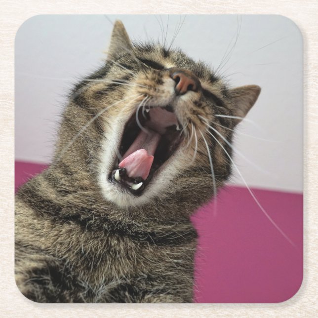 Personalized Funny Photo Cat Lover  Square Paper Coaster (Front)