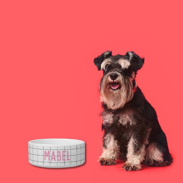 Personalized Geometric White Pink Name Pet Bowl (Creator Uploaded)