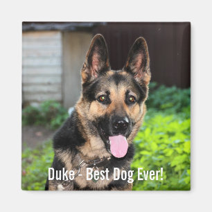 Personalized German Shepherd Dog Photo, Dog Name Magnet