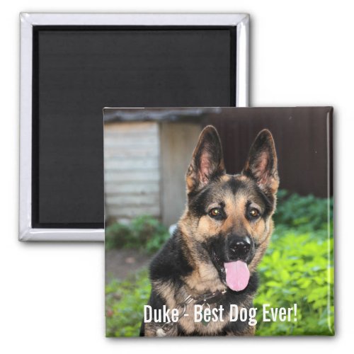 Personalized German Shepherd Dog Photo Dog Name Magnet