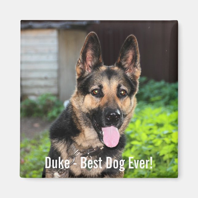 Personalized German Shepherd Dog Photo, Dog Name Magnet (Front)
