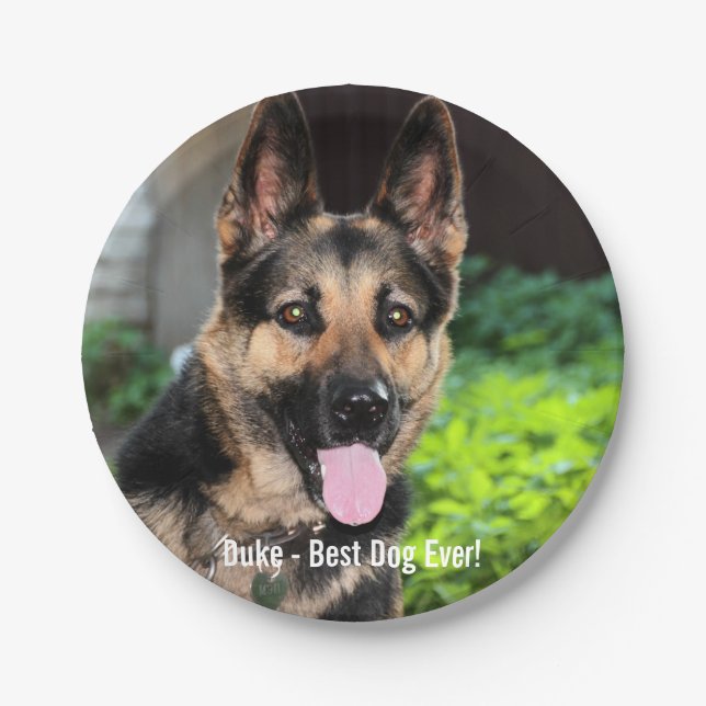 Personalized German Shepherd Dog Photo, Dog Name Paper Plates (Front)