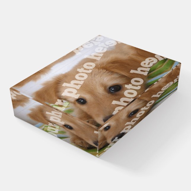 Personalized Gift for Pet Owners Custom Pet Photo Paperweight (Angled)