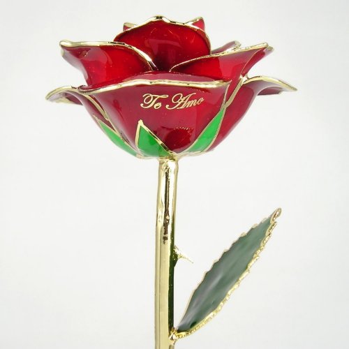 Personalized Gold Dipped Rose Te Amo