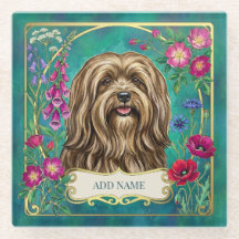 Personalized Golden Lhasa Apso Glass Coaster