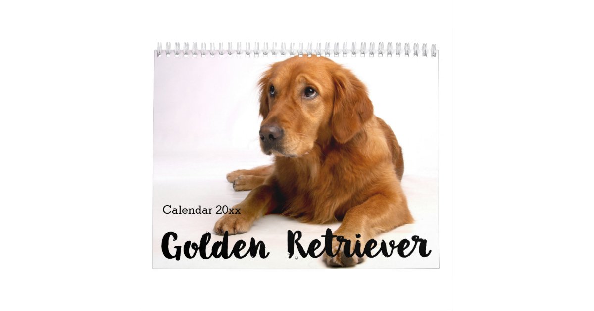 Personalized Golden Retriever Calendar 2023 | Zazzle