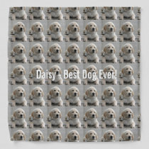 Personalized Golden Retriever Dog Photo and Name Bandana