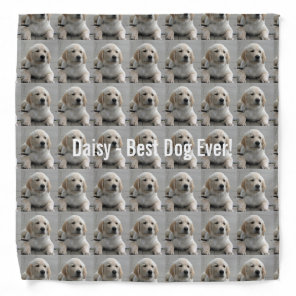 Personalized Golden Retriever Dog Photo and Name Bandana