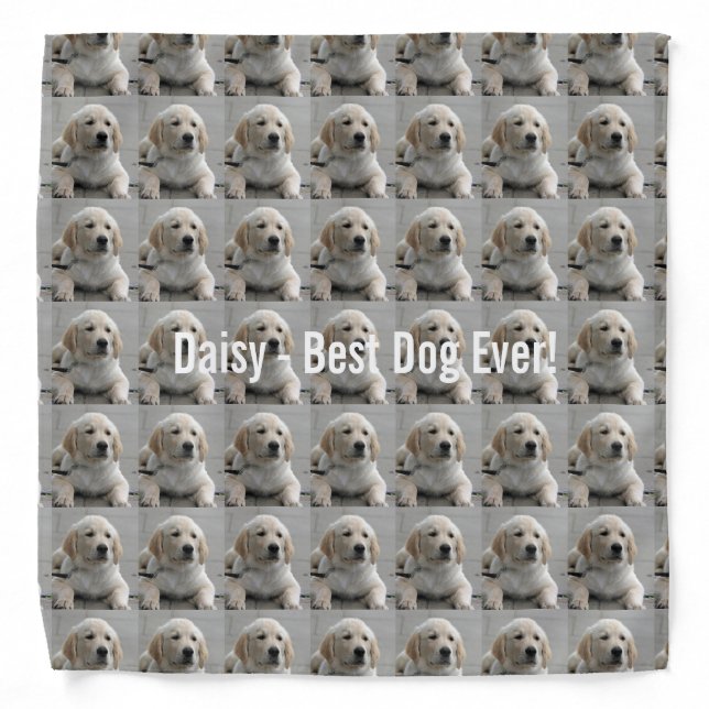 Personalized Golden Retriever Dog Photo and Name Bandana (Front)