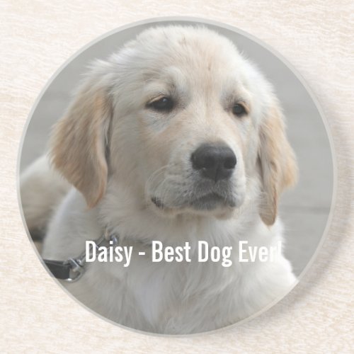Personalized Golden Retriever Dog Photo and Name Drink Coaster