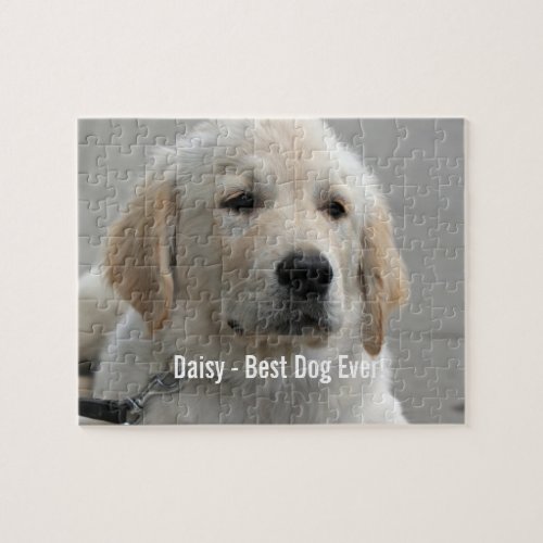 Personalized Golden Retriever Dog Photo and Name Jigsaw Puzzle
