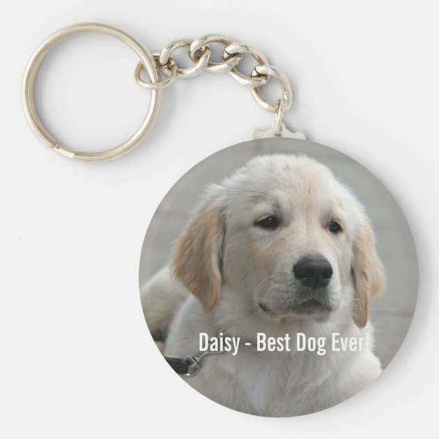AD-GR75K Golden Retriever Dog Photo Keyring Animal Gift 