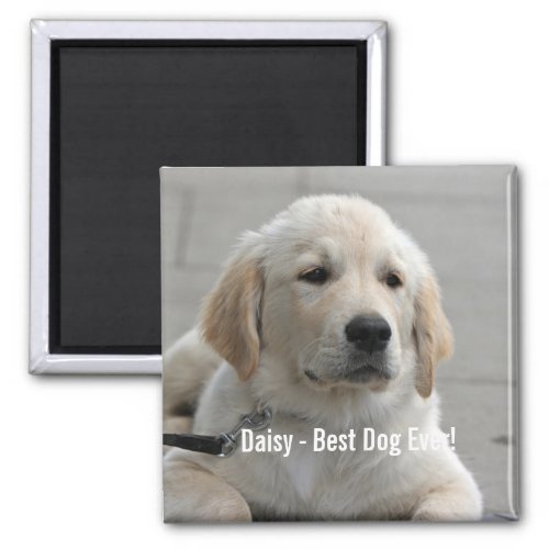 Personalized Golden Retriever Dog Photo and Name Magnet