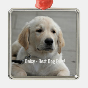 Personalized Golden Retriever Dog Photo and Name Metal Ornament