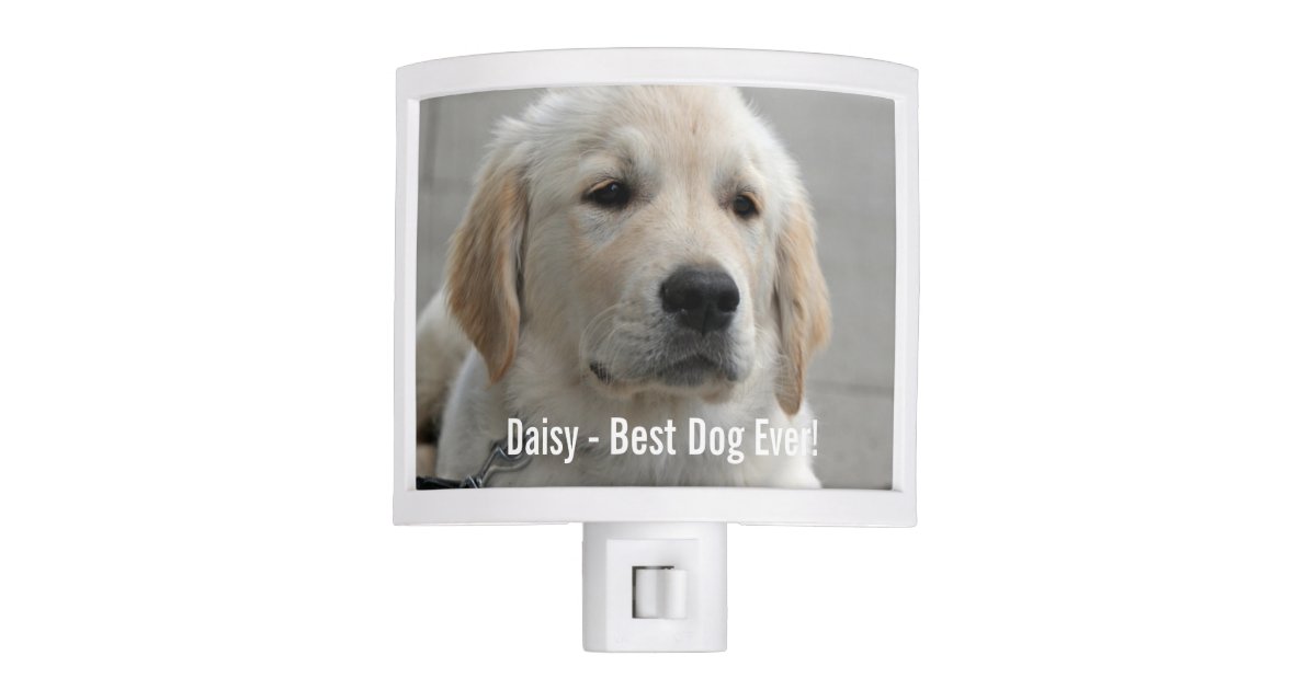 Personalized Golden Retriever Dog Photo And Name Night Light Zazzle Com