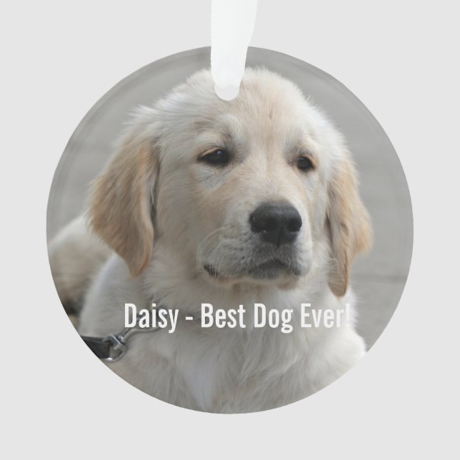 Personalized Golden Retriever Dog Photo and Name Ornament (Front)