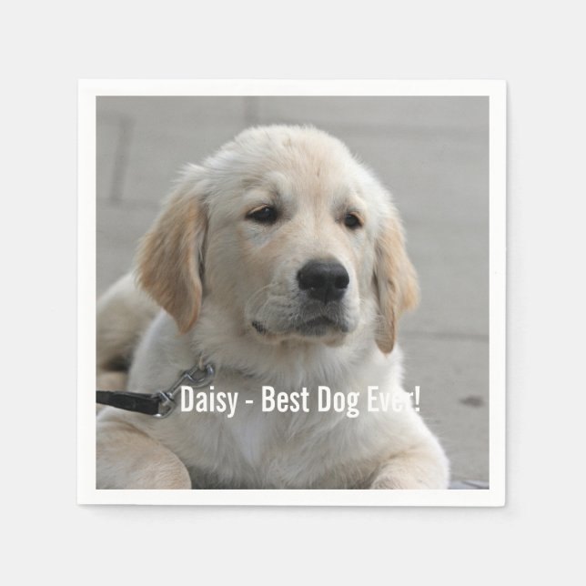 Personalized Golden Retriever Dog Photo and Name Paper Napkins (Front)