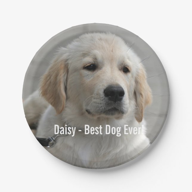 Personalized Golden Retriever Dog Photo and Name Paper Plates (Front)