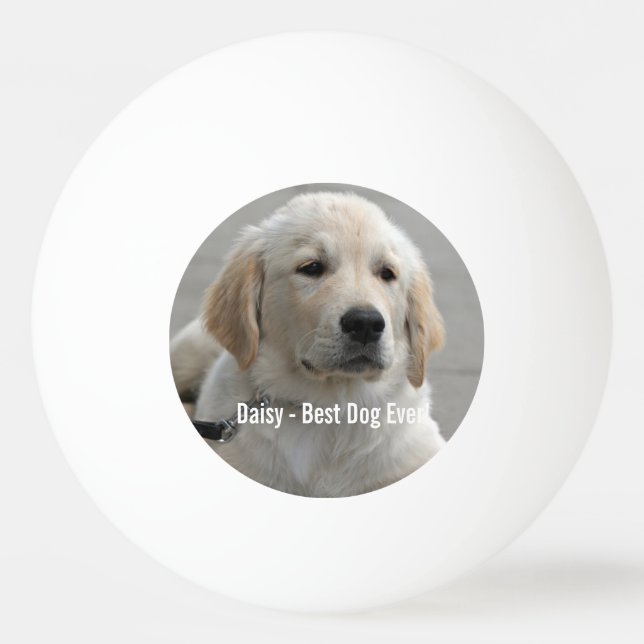 Personalized Golden Retriever Dog Photo and Name Ping-Pong Ball (Front)