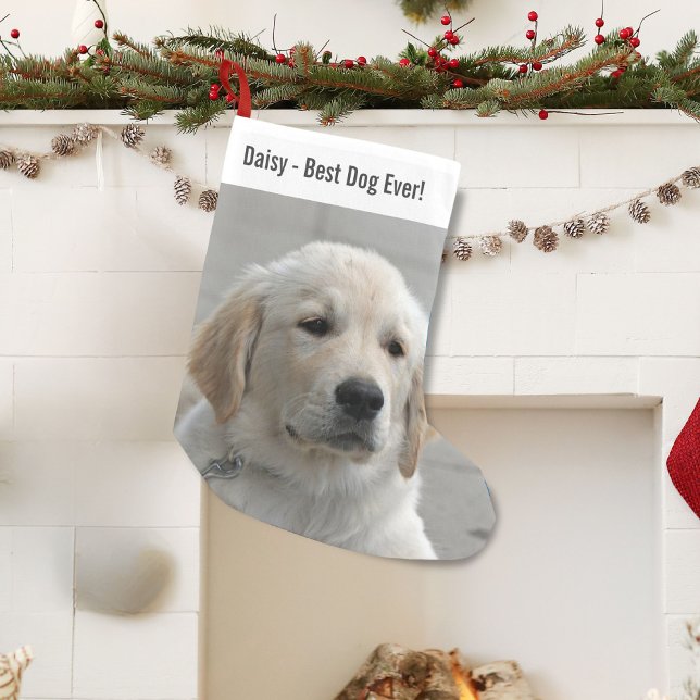 Personalized Golden Retriever Dog Photo and Name Small Christmas Stocking (Creator Uploaded)