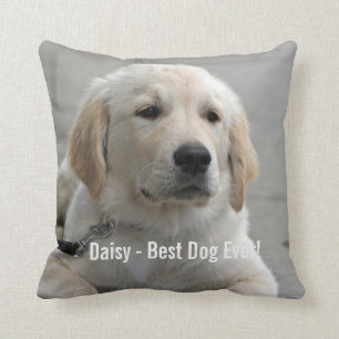 Personalized Golden Retriever Dog Photo and Name Throw Pillow