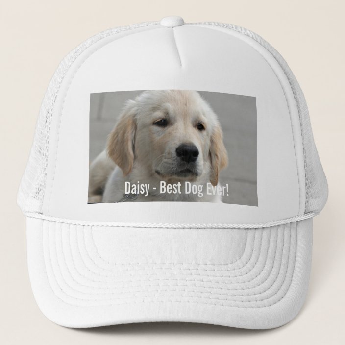 dog trucker hat