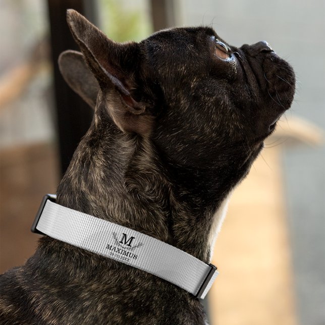 Personalized Golf Ball Pattern Name Monogram Age Pet Collar (Creator Uploaded)