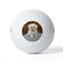 Personalized Golf Balls with cute Pet Photo