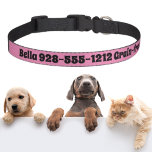 Personalized Grain Free Dog If Lost Call Pet Collar at Zazzle