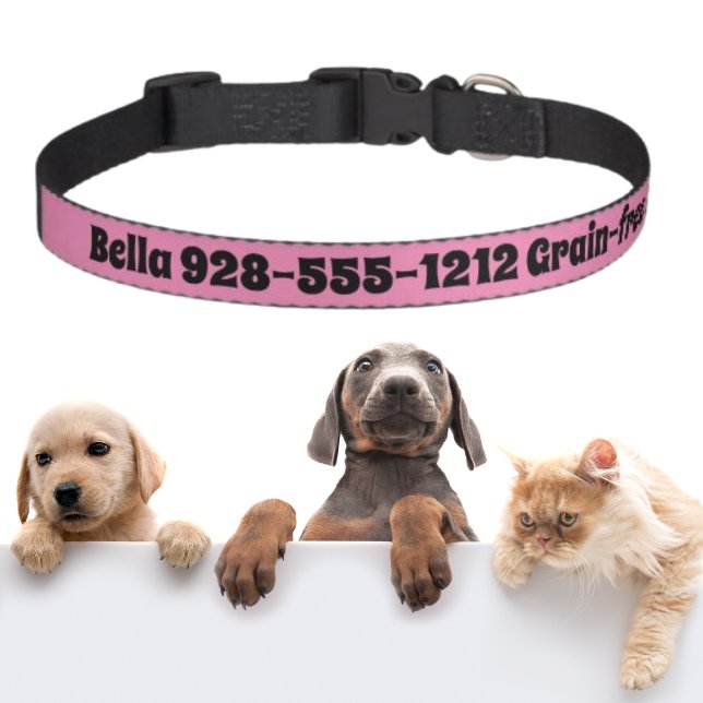 Personalized Grain Free Dog If Lost Call Pet Collar (Creator Uploaded)