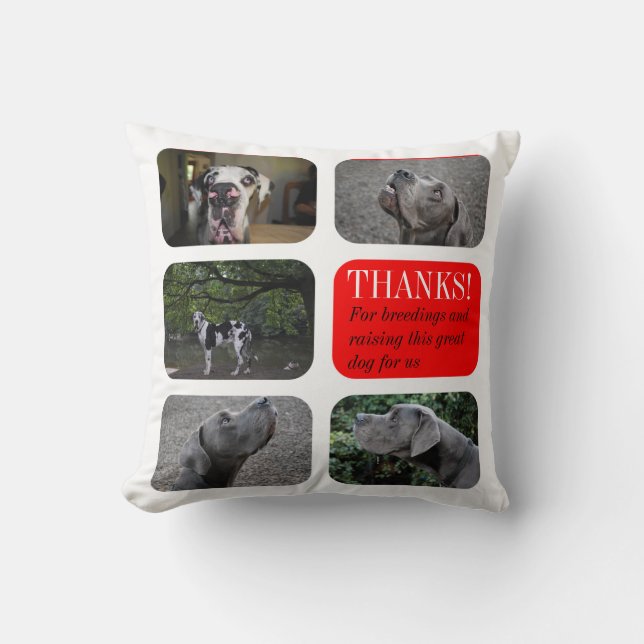 Personalized Great Dane Breeder Gift Pillow (Front)
