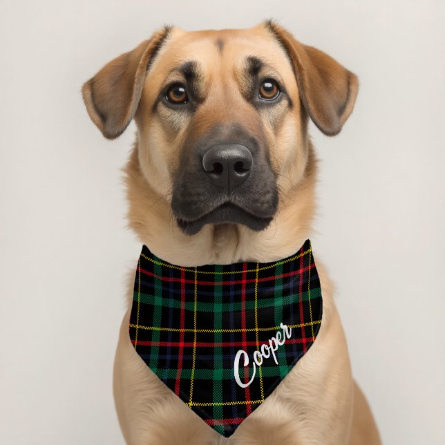 Personalized Green and Black Tartan Plaid  Pet Bandana Collar (Dog 2)