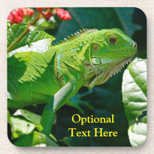Personalized Green Iguana Lizard Beverage Coaster