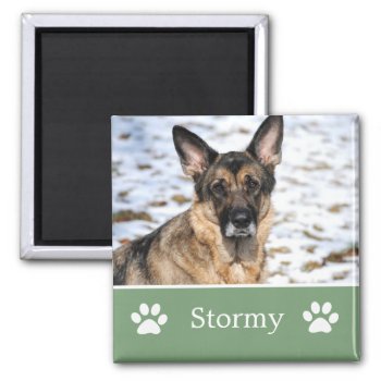 Personalized  Green Pet Photo Magnet by AllyJCat at Zazzle