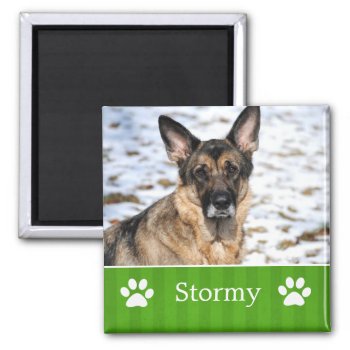 Personalized Green Stripes Pet Photo Magnet by AllyJCat at Zazzle