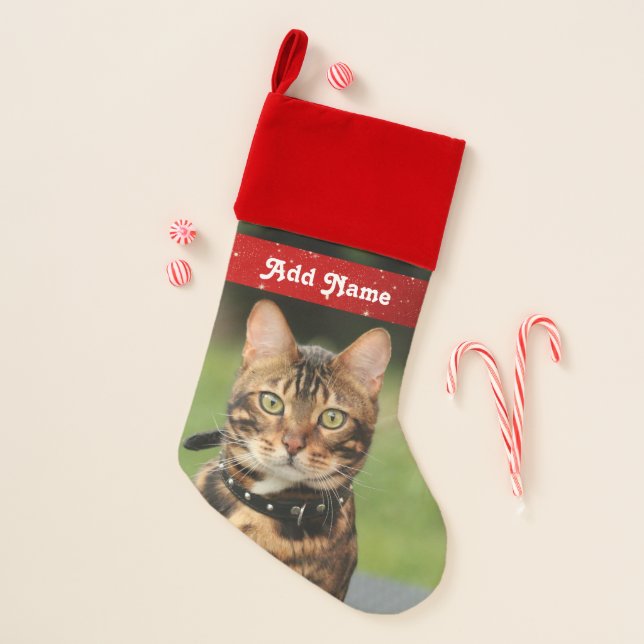 Personalized Grey Bengal Tabby Cat Christmas Stocking (Front)