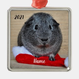 Personalized Grey Guinea Pig Santa Hat