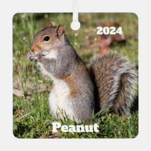 Personalized Grey Squirrel  Metal Ornament