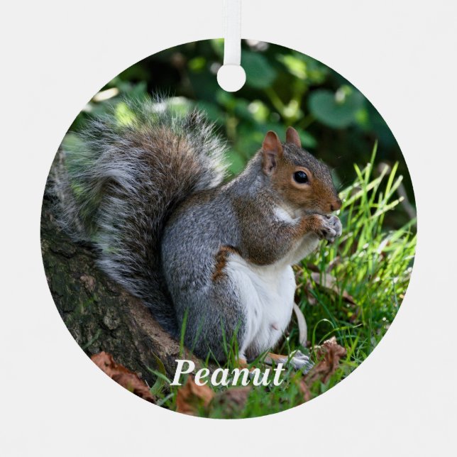 Personalized Grey Squirrel  Metal Ornament (Front)