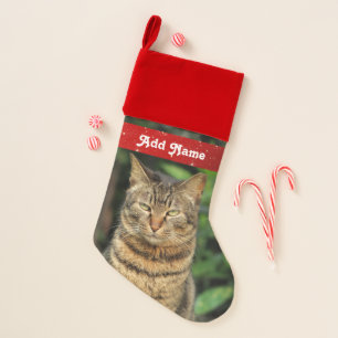 Personalized Grey Tabby Cat Christmas Stocking