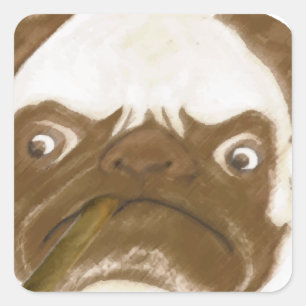 Personalized Grumpy AFICIONADO Puggy Cigar Square Sticker