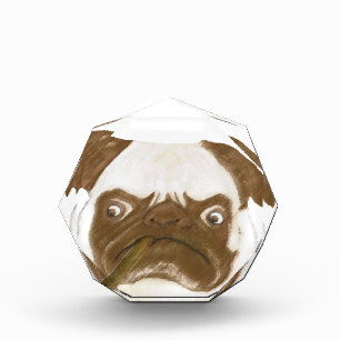 Personalized Grumpy Puggy with Cigar Acrylic Award