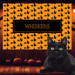 Personalized Halloween Black Cat Pumpkin Pet Placemat