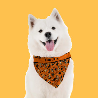 Personalized Halloween Pet Bandana Collar