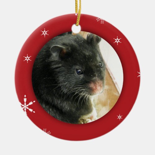 Personalized HamsterPet Photo Holiday Ceramic Ornament