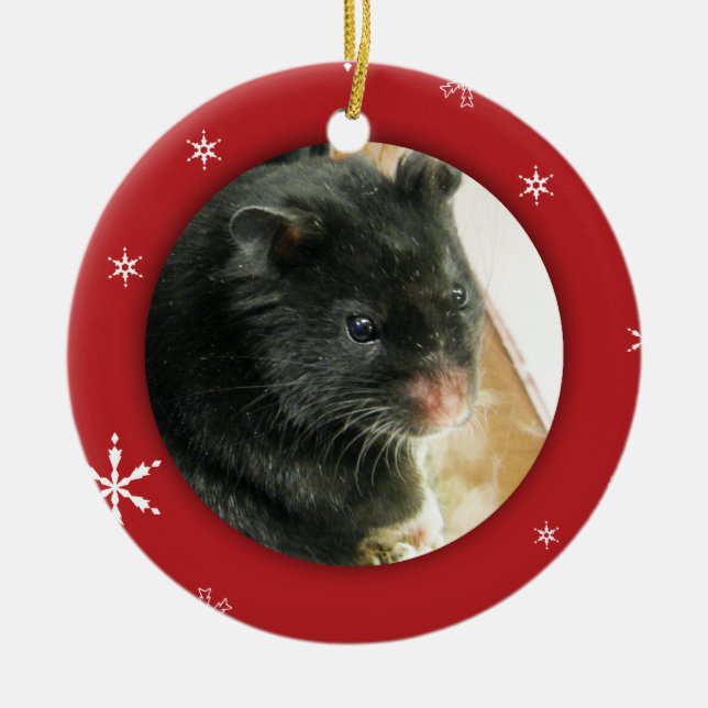 Personalized Hamster/Pet Photo Holiday Ceramic Ornament (Front)