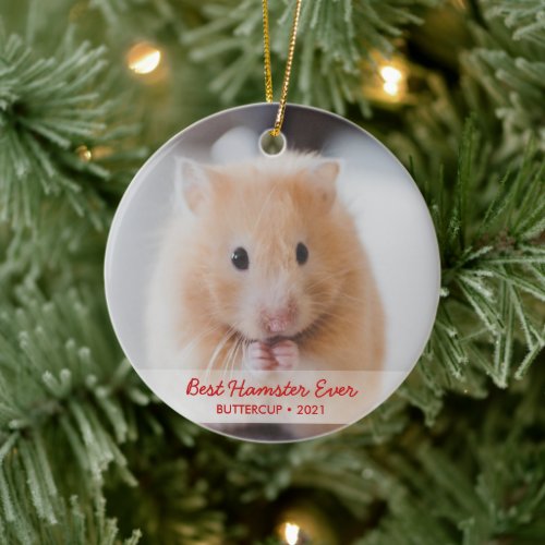 Personalized Hamster Pet Photo  Name Christmas Ceramic Ornament