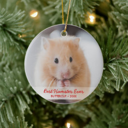 Personalized Hamster Pet Photo & Name Christmas Ceramic Ornament