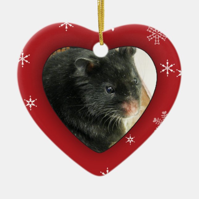 Personalized Hamster Photo Holiday Ornament (Front)