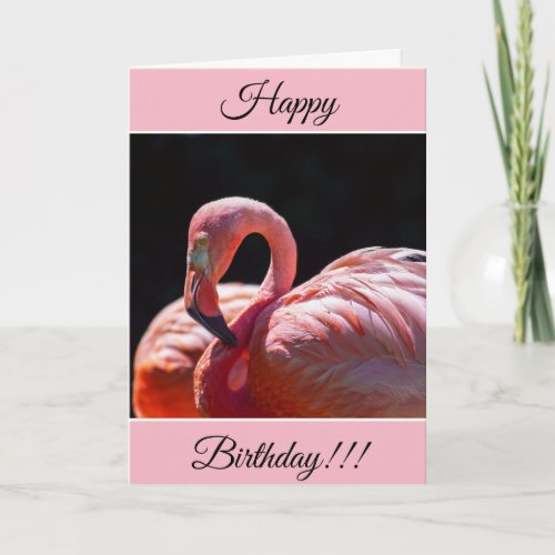 Personalized Happy Birthday Flamingo Card